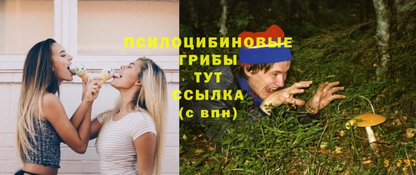 2c-b Лагань