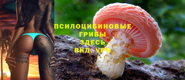 гашик Лихославль