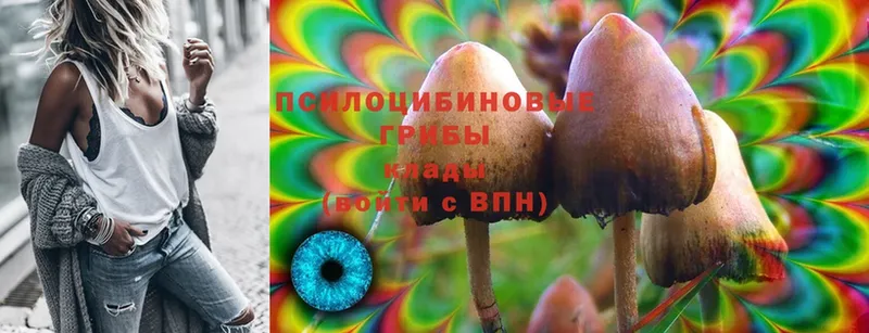 kraken ССЫЛКА  Чита  Псилоцибиновые грибы MAGIC MUSHROOMS 