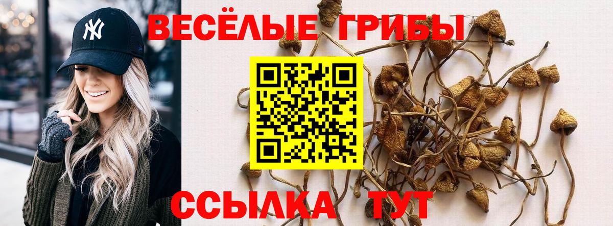 Чита  Псилоцибиновые грибы прущие грибы  Вход с VPN 